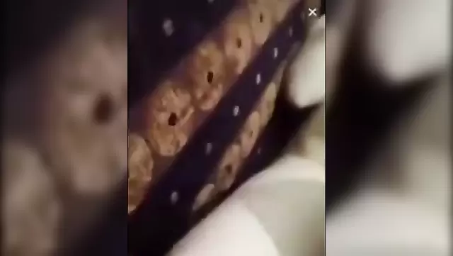 Ankara'da Türkçe amatör video